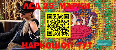 гидропоника Берёзовский