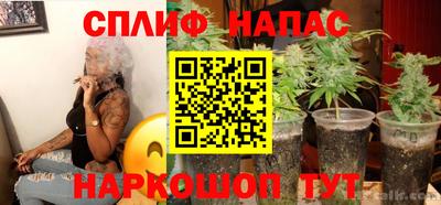 гидропоника Берёзовский