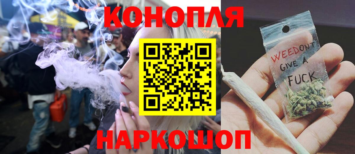 Конопля сатива Казань